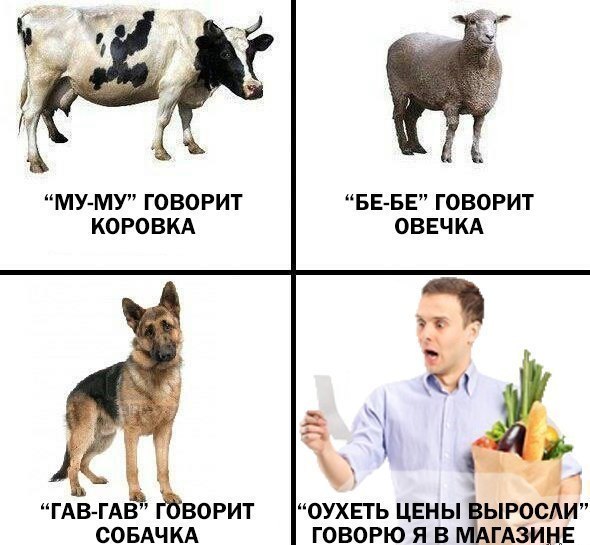 http://www.nissan-4x4.ru/img/posts/42207.jpg