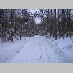 IMG_1727.jpg